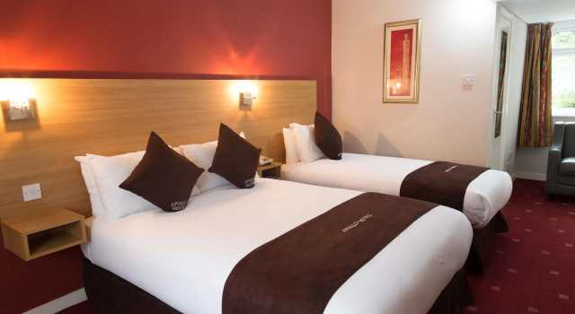 Семейный номер Standard Apollo Hotel