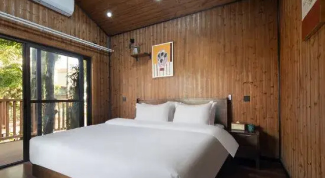 Suite The Forest B&Bs