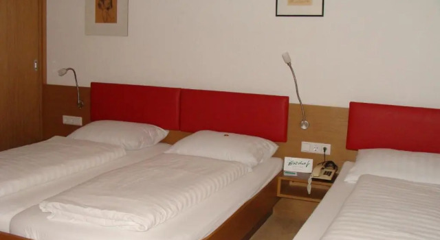 Трёхместный номер Standard Hotel Bischof