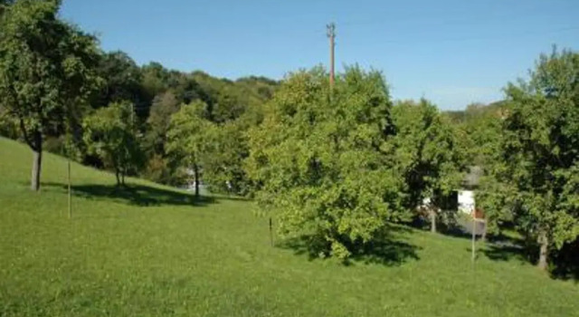Двухместный номер Standard Landgasthof Hotel Zur Linde im Taunus
