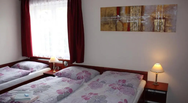 Номер Standard Hotel Hynek