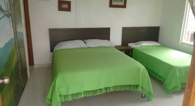 Номер Standard Ecohotel Villadiana
