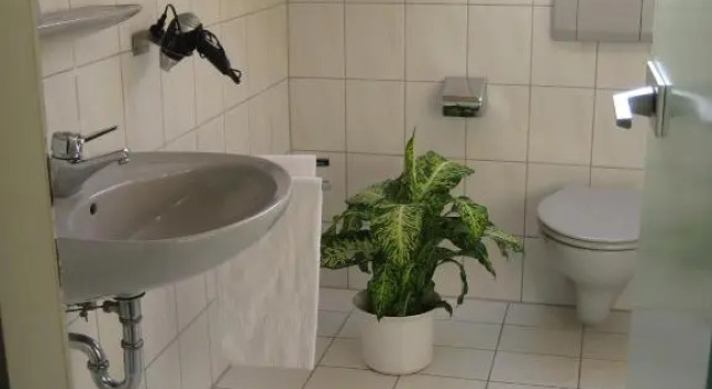 Номер Standard Landhotel Oberdeisenhof