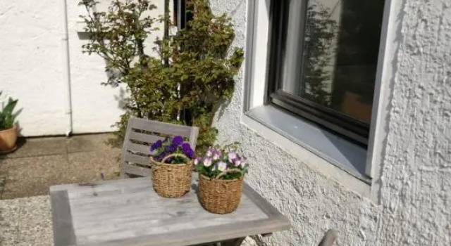 Harzstern Bungalow Studio mit Garten