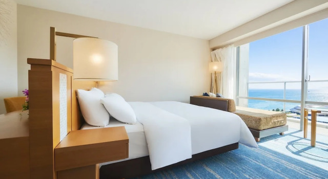 Двухместный номер Deluxe с балконом GRAND NIKKO AWAJI