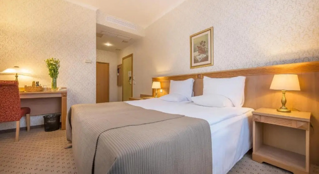 Двухместный номер Standard Artis Centrum Hotels