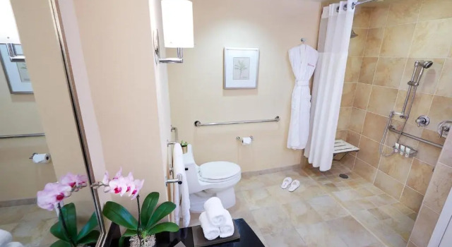 Двухместный номер Mobility/Hearing Access Roll In Shower Deluxe The Beverly Hilton