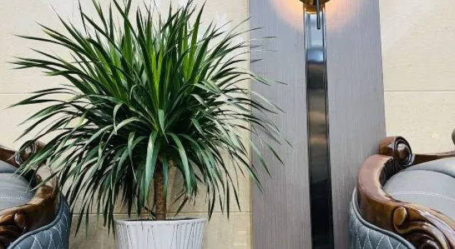 TianYuan Hotel, Book Hotel Hoteller i Wenshan med parkering, Parkering