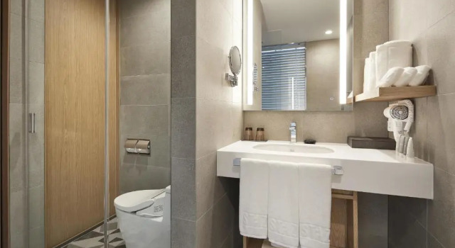 Трёхместный номер Standard MD Hotel Doksan