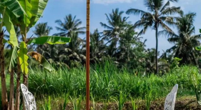 Вилла New!ubud Hideaway 6BR Villa w/ Ricefield View