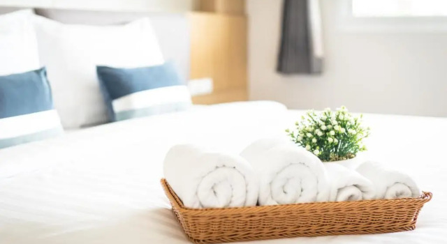 Номер Standard APA-TREE Boutique Hotel