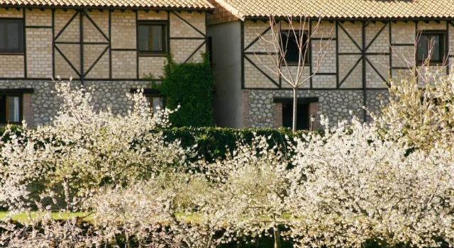 El Canchal de la Gallina, Book Hotel Hotels in Extremadura with a Pool, Swimming Pool