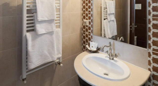 Standart oda Pension Park