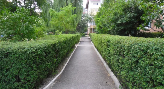 Апартаменты Apartament Rebeca