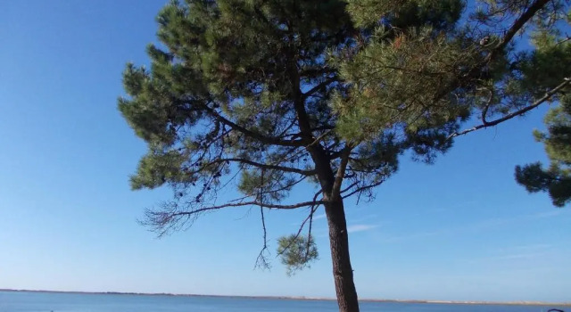 Номер Standard Village Vacances 4 etoiles LES MATHES AUX CHARMETTES