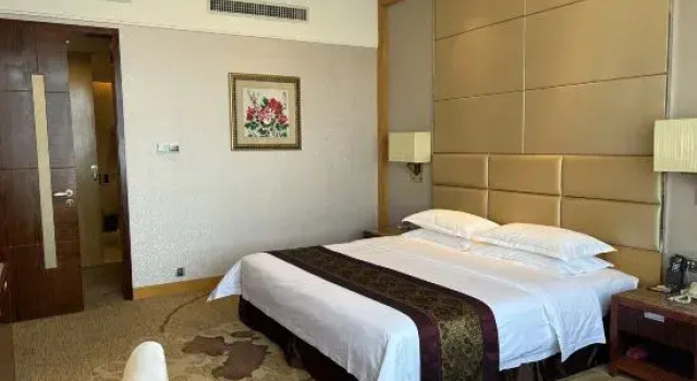 Люкс Wuhan Zongheng Hotel