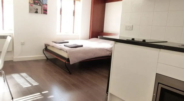 SS Property Hub - City of London Studio Apartment 12