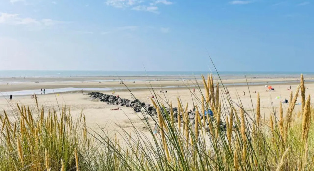 Апартаменты PAROGA : Petit coin de Paradis à 1OOm de la plage