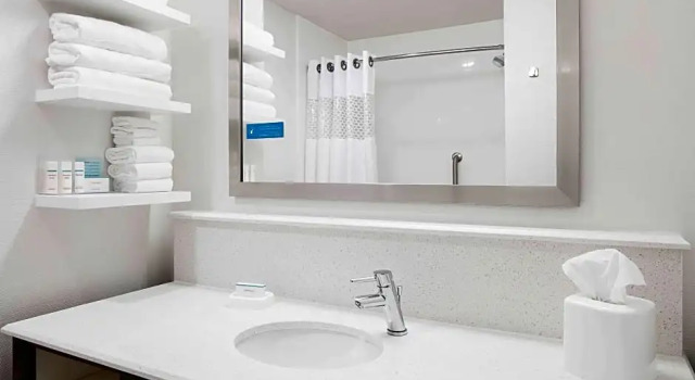 Четырёхместный люкс Hampton Inn & Suites-Hudson Wisconsin