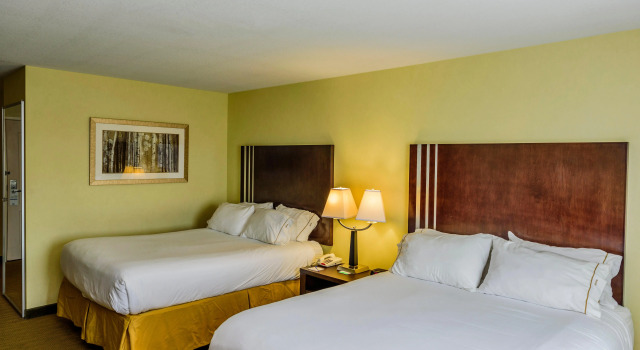 Holiday Inn Express Hotel & Suites Hamburg, an IHG Hotel, Buchen Sie Hotel Hamburg Buffalo