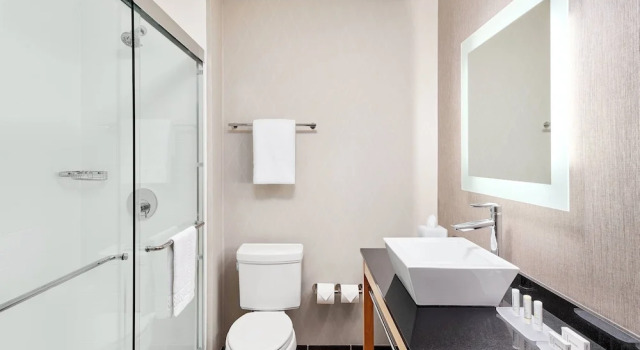 1 soveværelse i suite med bjergudsigt Cambria Suites Roanoke