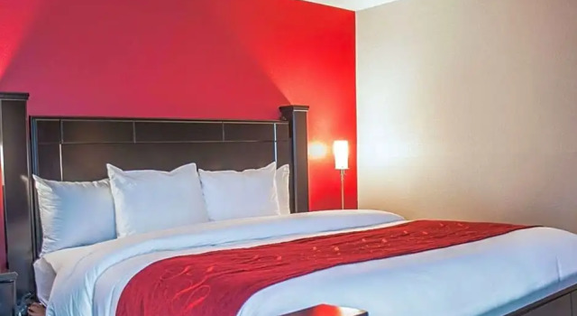 Номер Business Comfort Suites Nashville Airport - BNA