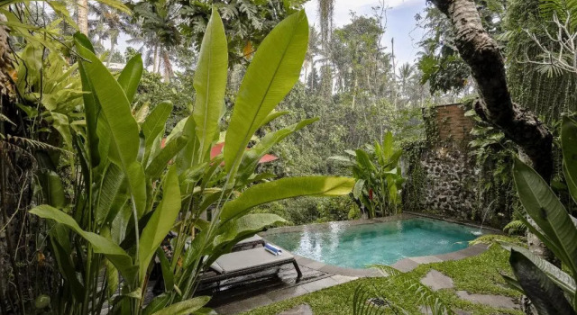 Вилла c 1 комнатой Bubu Mesari Ubud Villa
