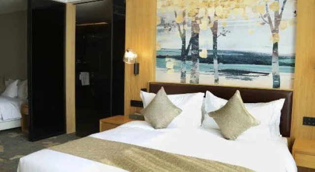 Люкс Deluxe Longshun Hotel