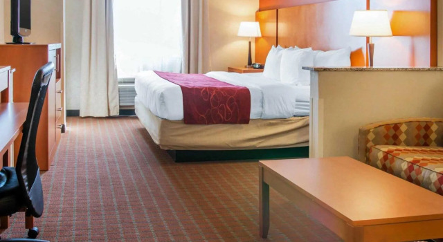 Двухместный люкс c 1 комнатой Comfort Suites Auburn Hills-Detroit