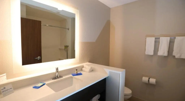 Одноместный номер Standard Holiday Inn Express & Suites Forney