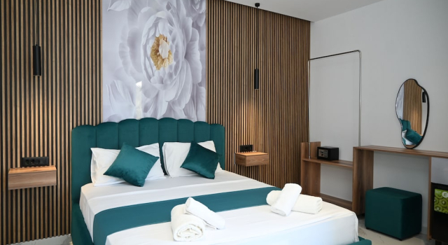 Standard Double room with park view Vila Bashkim