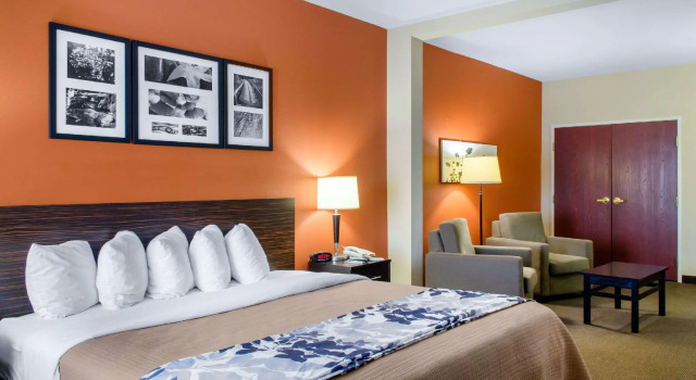 Двухместный номер Standard Spark by Hilton Montgomery EastChase