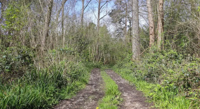 Коттедж Ghyll Park Farm