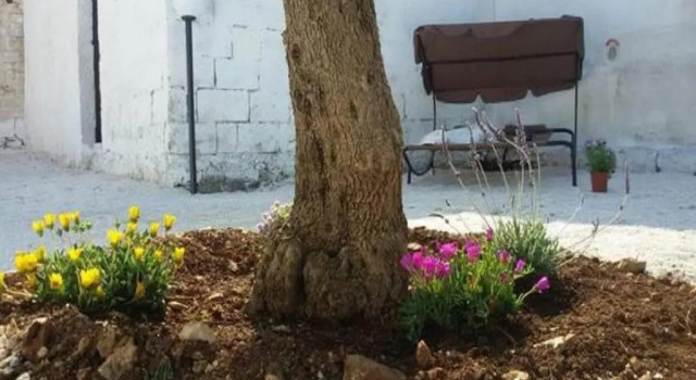 Коттедж с 3 комнатами I trulli di Jo