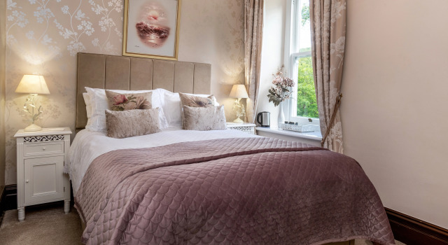 Номер Classic Afon Rhaiadr Country House