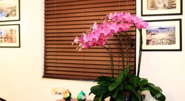 Номер Standard Global Holiday Home