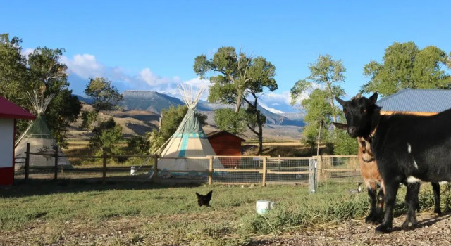 Тент Eycat Lodging Company