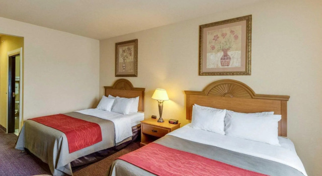 Четырёхместный номер Standard Comfort Inn & Suites Fredericksburg