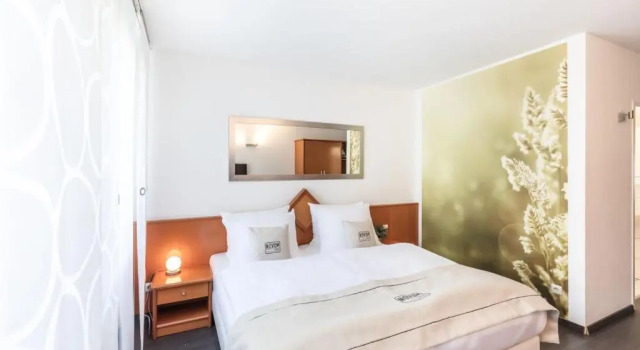 Одноместный номер Standard Hotel Freiraum