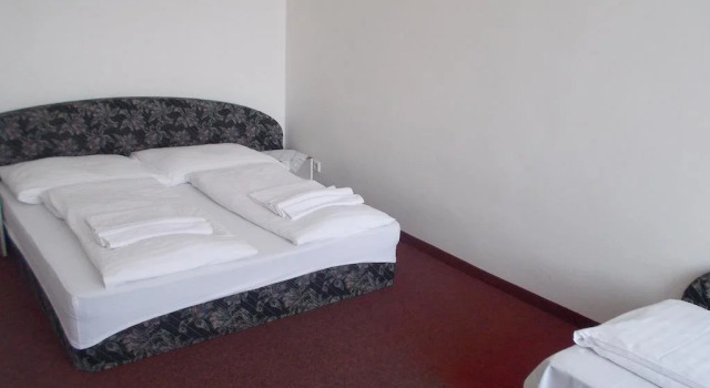 Hotel U Hroznu
