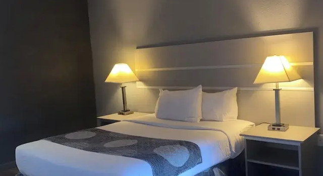 Люкс Standard Hotel 10 Extended Stay