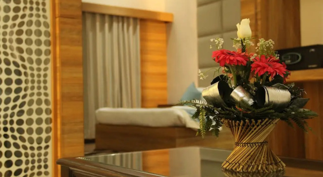 Номер Superior Bhawna Clarks Inn, Agra