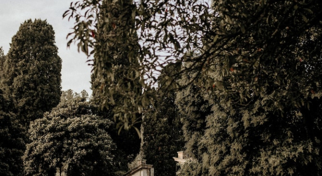 Standard Double room with garden view Buonvisi B&B