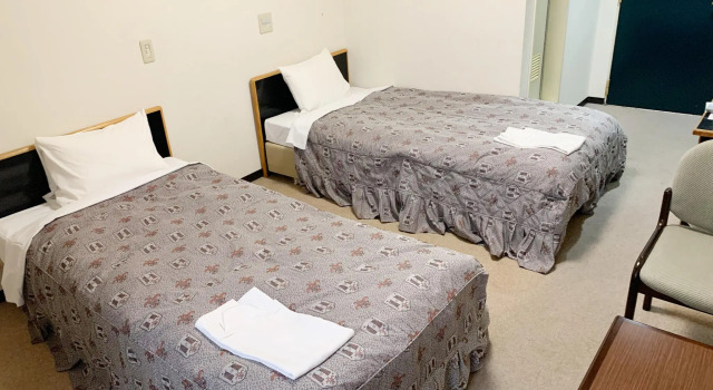 Двухместный номер Standard Hotel Sports Palko