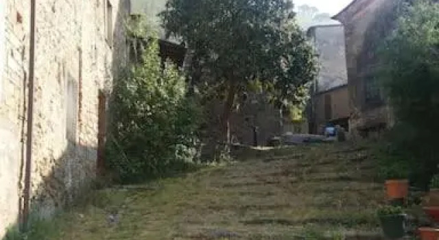Amazing house sourrounding by nature