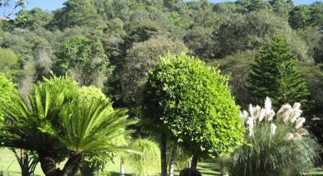 Los Corrales Suite, Varaa Hotelli 5 tähden hotellit kohteessa State of Mexico, 5*