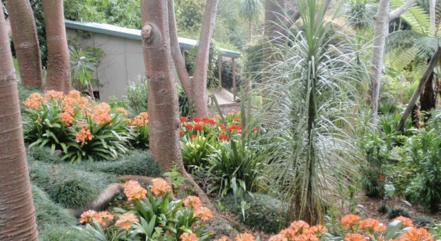 Бунгало Wharepuke Subtropical Accommodation