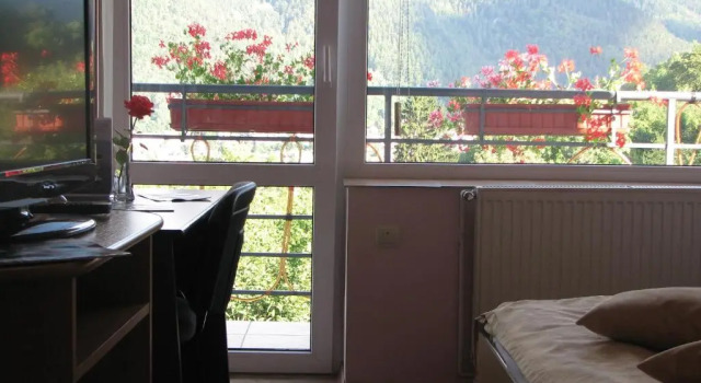 Двухместный номер Standard с балконом Pensiunea Warthe Bed & Breakfast