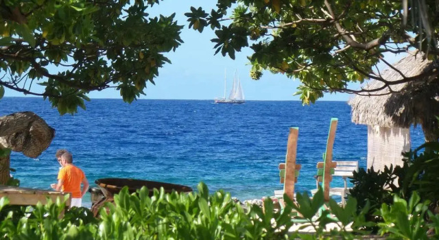 Бунгало рядом с пляжем Green Lodge Moorea