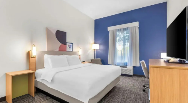 Standard Zimmer Spark by Hilton Dothan